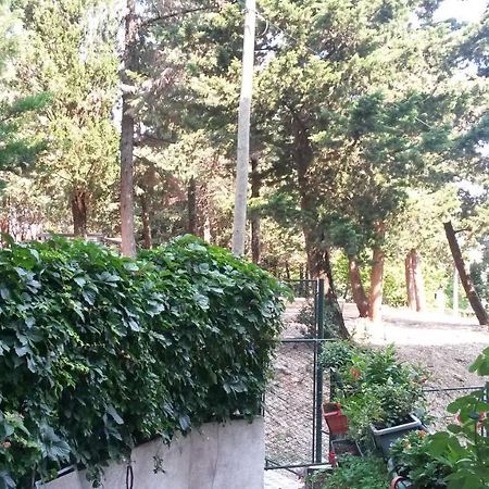 Anamarija Apartman Dubrovnik Buitenkant foto