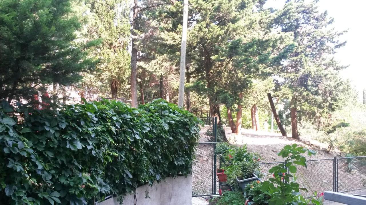 Anamarija Apartman Dubrovnik Buitenkant foto