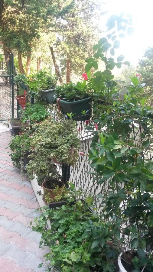 Anamarija Apartman Dubrovnik Buitenkant foto